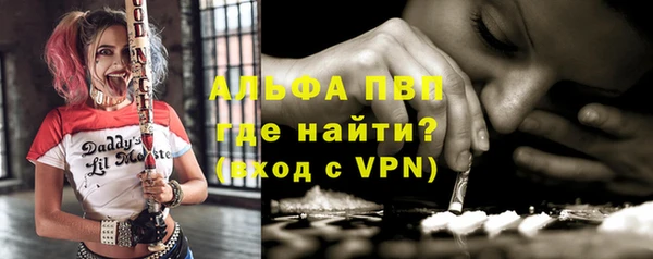 твердый Горняк