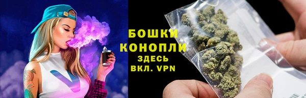 твердый Горняк