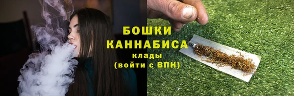 твердый Горняк